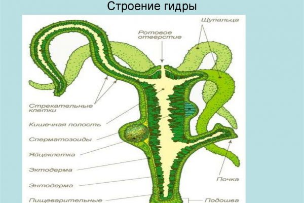 Как зарегаться в кракен