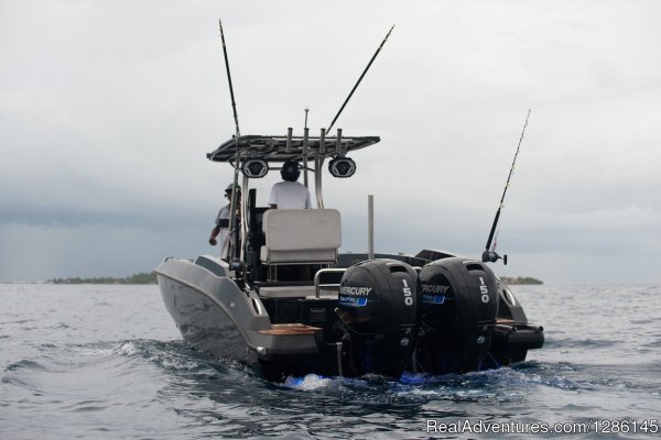 Kraken 12 at