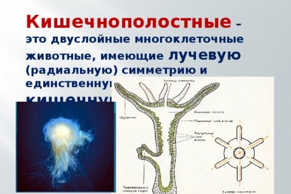 Онион сайты